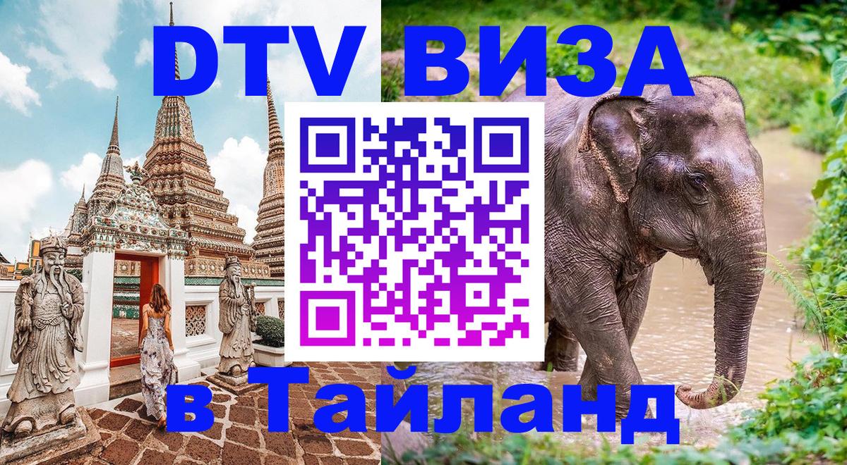 Сколько стоит DTV виза — актуальные цены, оформление даже без документов - Мурманск  19.11.2025 